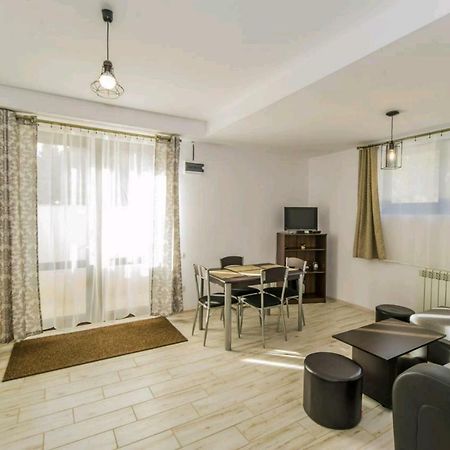 Apartament Andra ポイアナ・ブラショフ エクステリア 写真