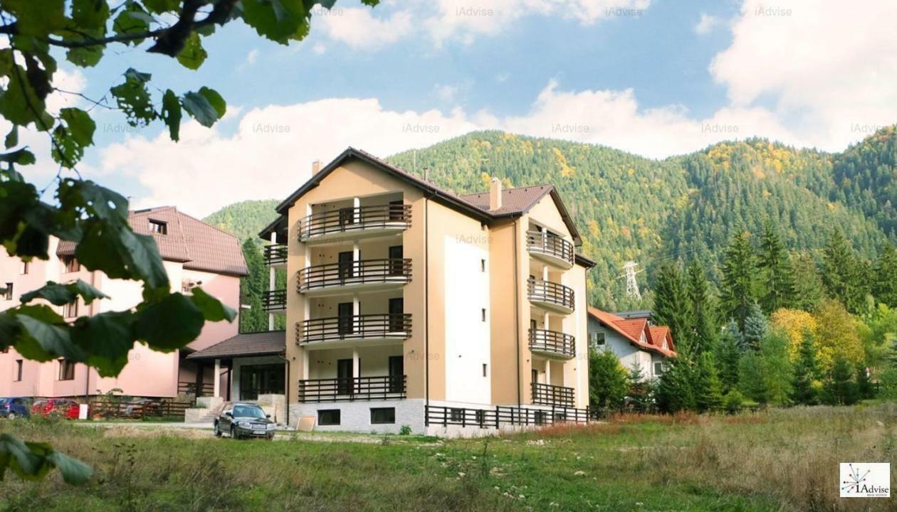 Apartament Andra ポイアナ・ブラショフ エクステリア 写真