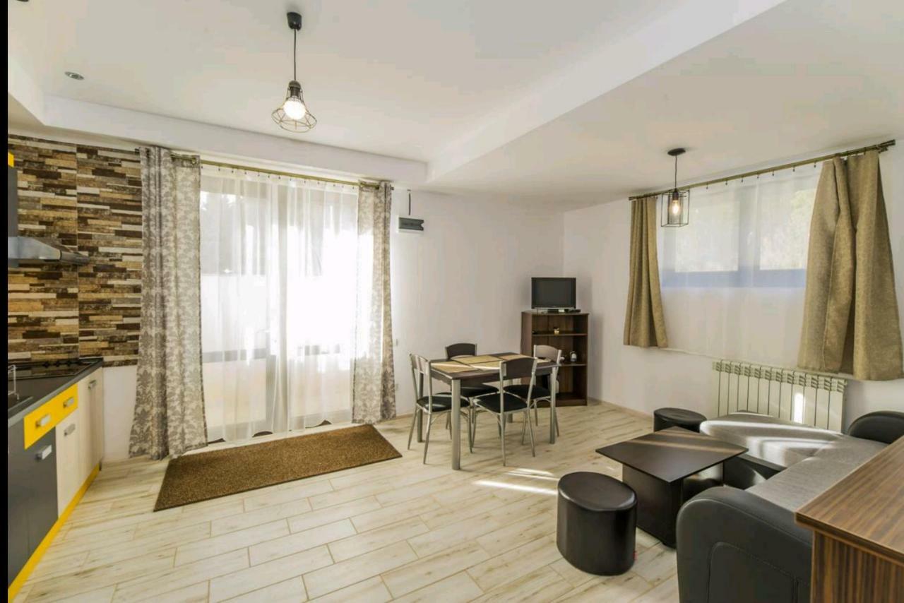 Apartament Andra ポイアナ・ブラショフ エクステリア 写真